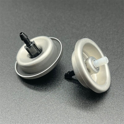 購入 Botanical-Based Aerosol Hair Mousse Dispenser for Conscious Consumers with Natural Hold and Plant-Derived Ingredients オンライン製造