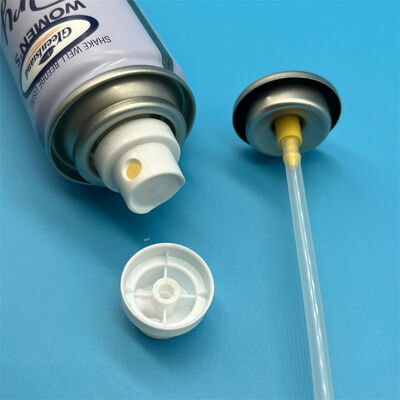 購入 ドライシャンプースプレーバルブ 精粉配給のための高度なバルブ設計 オンライン製造