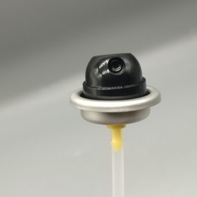 購入 パーソナルケア 薄霧型エアロゾールバルブ ボディスプレー デオドラントと香水 オンライン製造