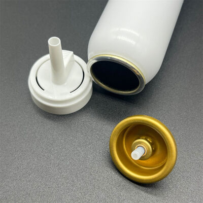 OEMブランディング用のユニバーサルフィットエアゾールヘアムースアクセサリー、カスタマイズ可能なオーバーキャップとアクチュエーター付き