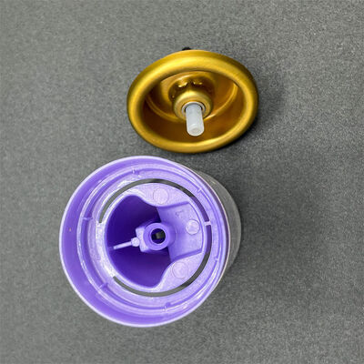 環境に配慮したエアロゾールヘアモースディスペンサー リサイクル可能なコンポーネントのグリーンビューティブランド